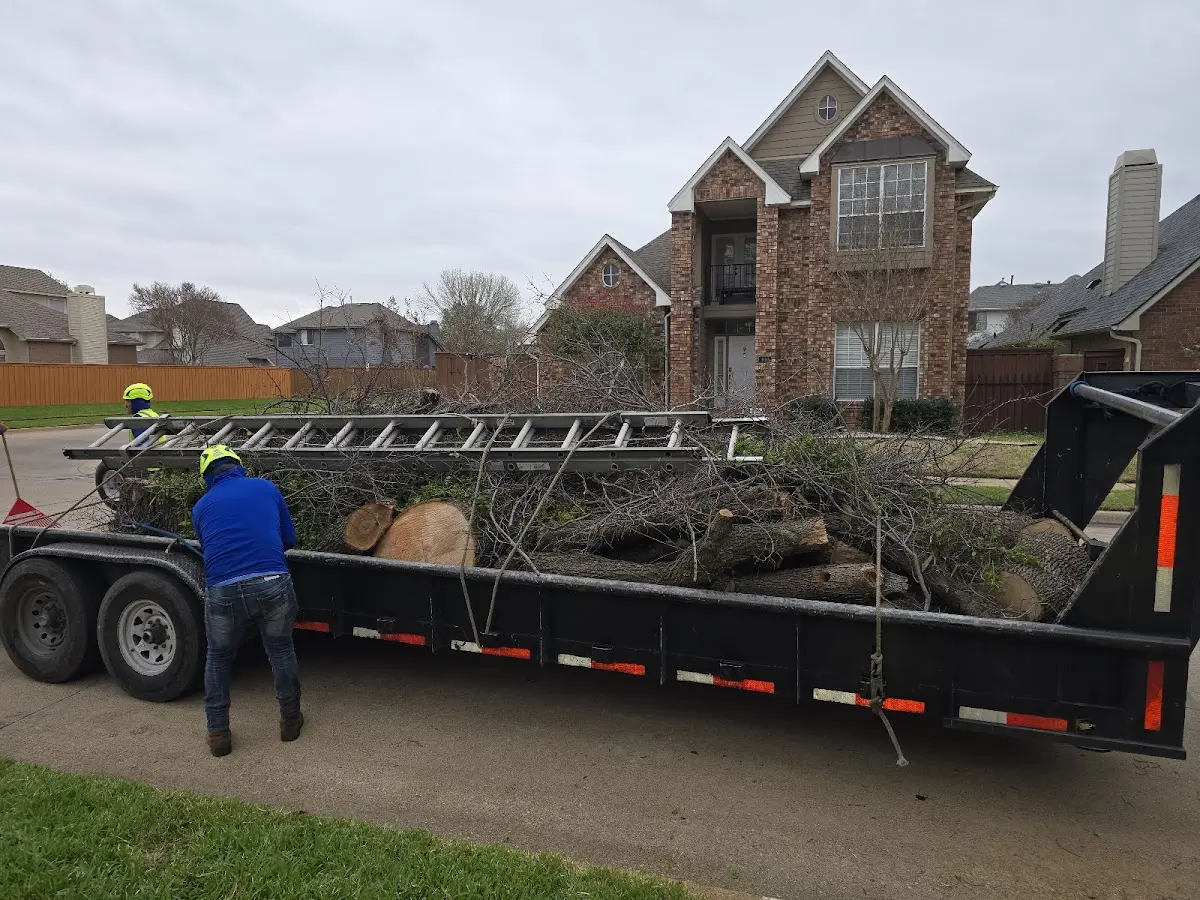 Expert Tree Fertilization with proper safety equipment in Easton